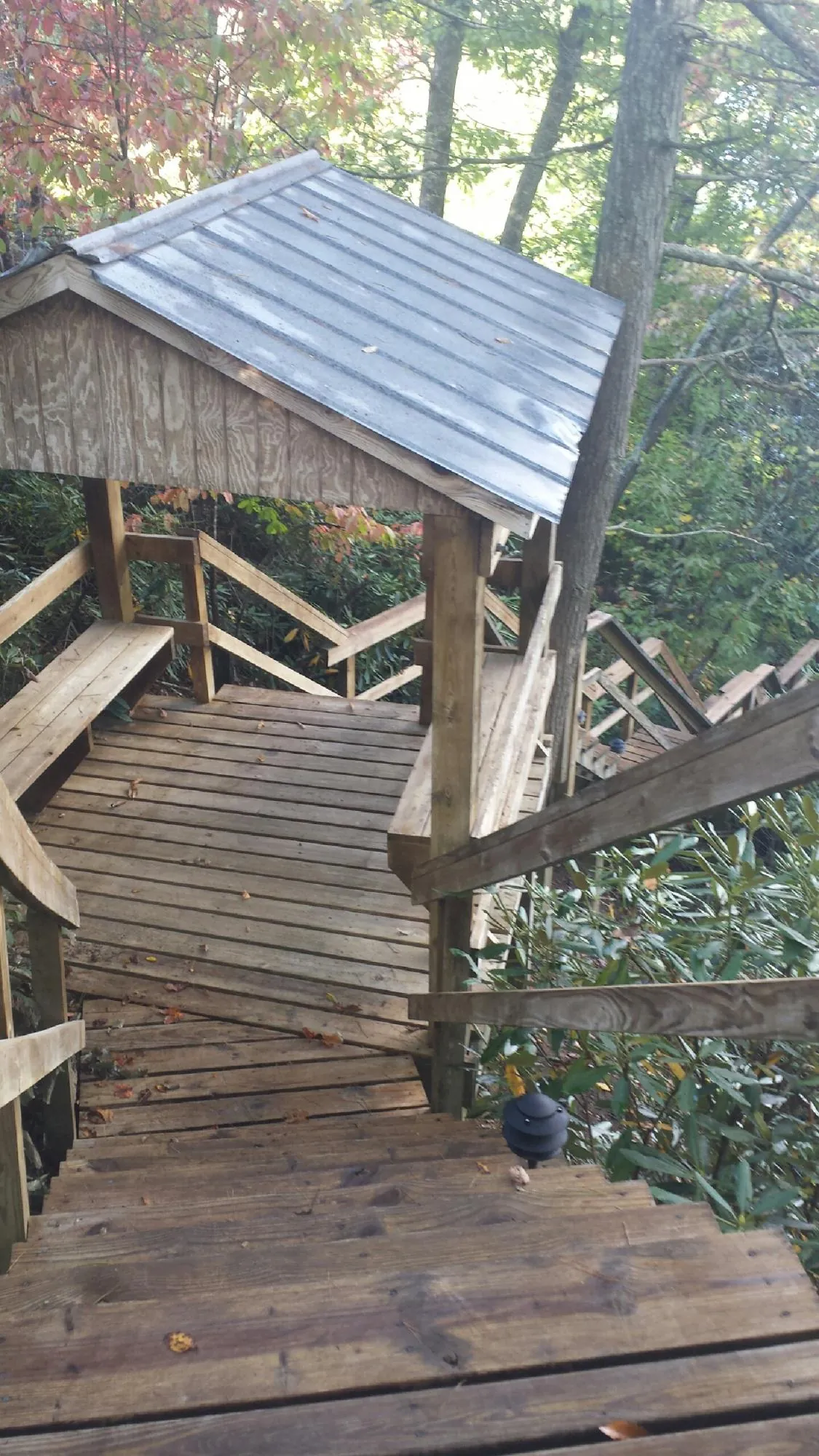 Metal roofed shelter over wooden steps on a wooded walkway — Skylight Repair & Installation work by our crew in Renton