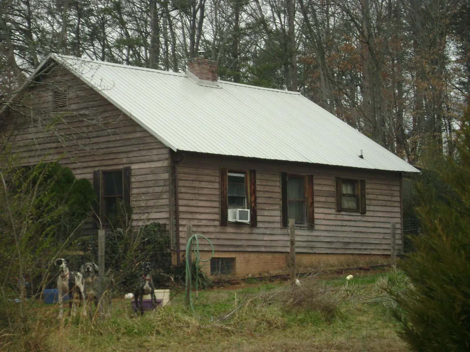 White metal roof on an old wood sided farmhouse, from a Metal Roof Installation job in Renton